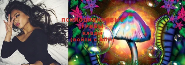 первитин Карпинск