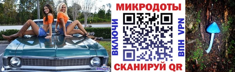 Галлюциногенные грибы Psilocybe  Купить закладки  Вышний Волочёк 